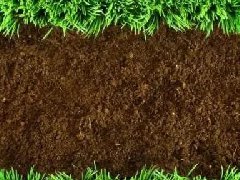 土壤恶化有哪些方面？